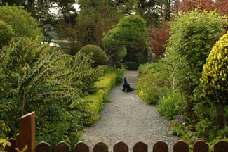 Kimokea Gardens - Campile County Wexford